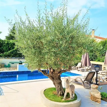 Lejlighed Engel With Pool *