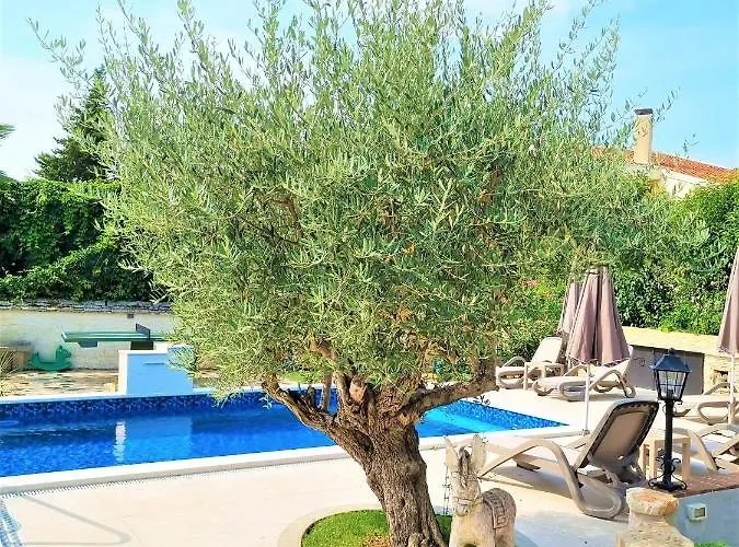 Appartement Engel With Pool *